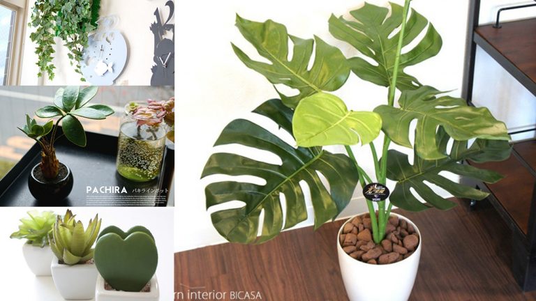 水が不要でおしゃれな人工観葉植物5選!光触媒機能で空気も浄化!