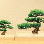 Bonsai（ボンサイ）｜アクリルで作られた松の新時代盆栽
