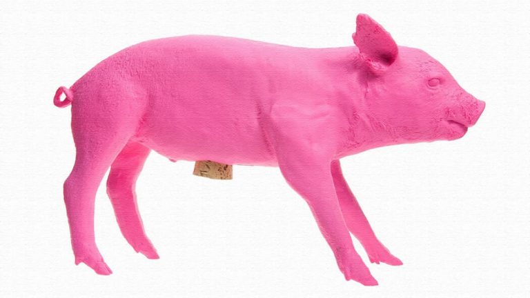 本物の豚の型の貯金箱「Bank In the Form Of A Pig」