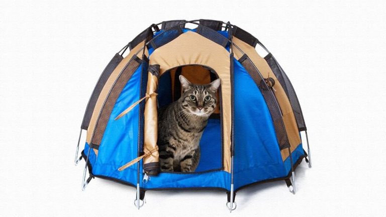 猫・小型犬用のミニュチュアテント！ドデカヒードロン テント