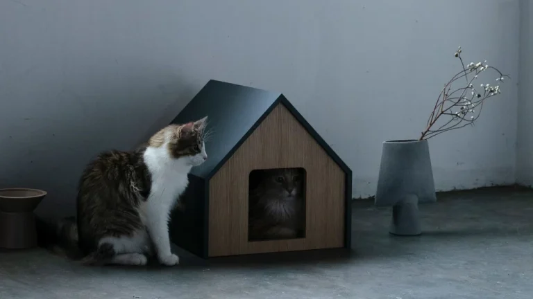 愛猫のための癒しの空間づくり｜HÜTTE Cat House