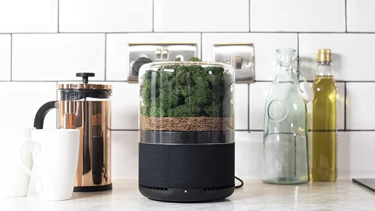 植物×テクノロジー！Briivのナチュラル空気清浄機