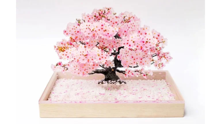 いつでもどこでも桜の美しさを感じられる「Bonsai Sakura」でお部屋を彩ろう