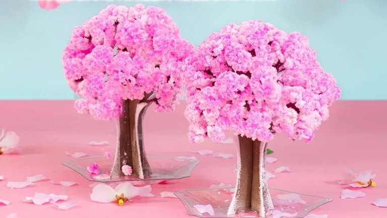 魔法の水で咲く不思議な桜｜Magic桜