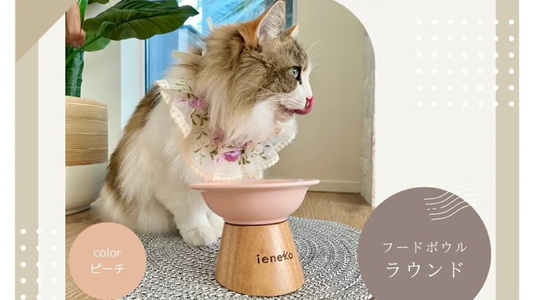食べやすさも抜群！猫想いのフードボウル「ieneko」