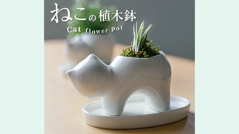 日常に癒しを添える、かわいいインテリア雑貨『ねこのミニ植木鉢』