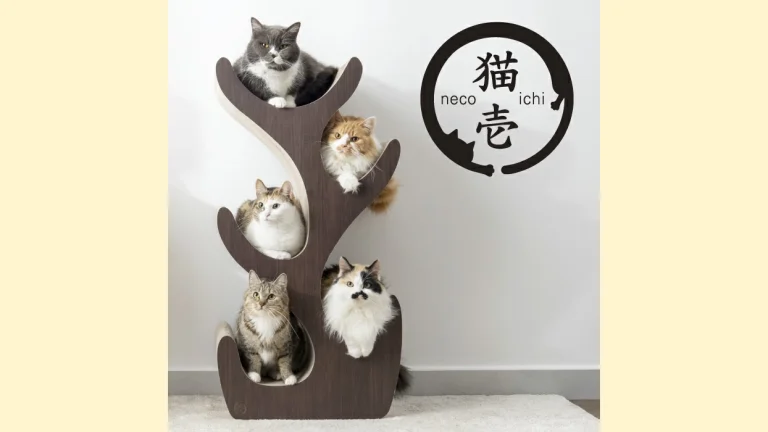 猫壱『キャットツリー』レビュー｜最大5匹まで遊べる！おしゃれで安全な段ボール製キャットタワー