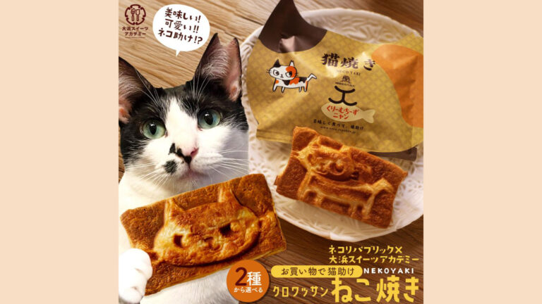【猫焼き】猫型クロワッサンで猫助け！大浜スイーツアカデミー×ネコリパブリックの保護猫支援スイーツ