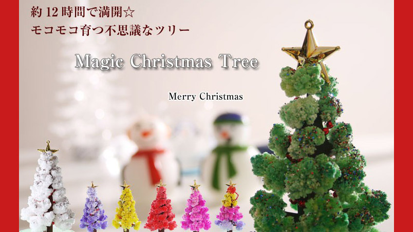 まるで魔法！半日で“咲く”不思議な『マジッククリスマスツリー』で特別な冬時間を