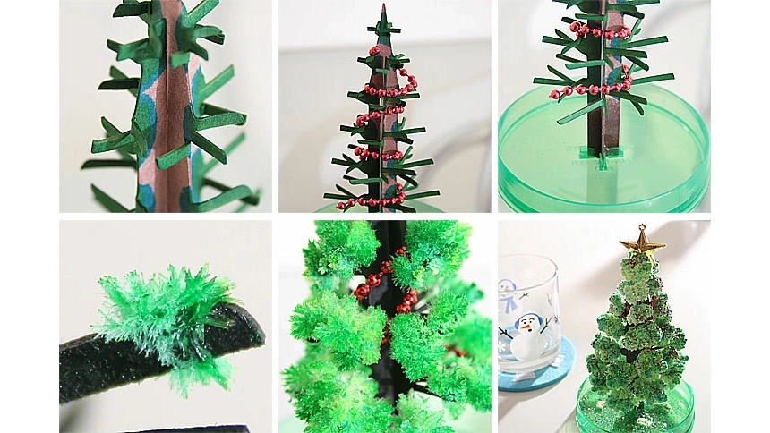 まるで魔法!半日で“咲く”不思議な『マジッククリスマスツリー』で特別な冬時間を