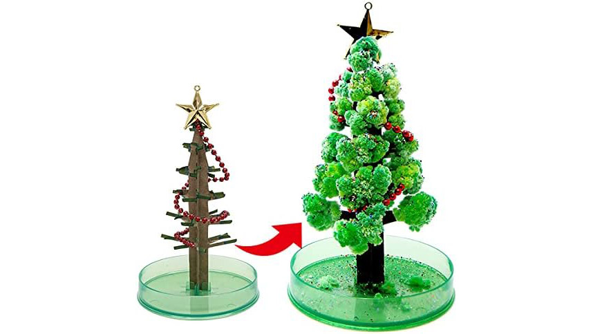 まるで魔法!半日で“咲く”不思議な『マジッククリスマスツリー』で特別な冬時間を