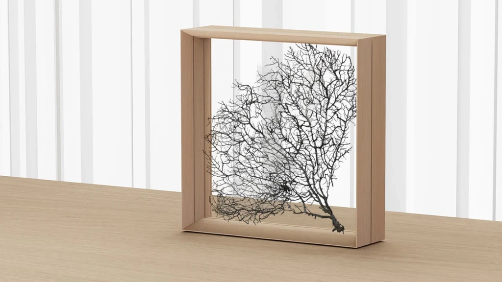 立体オブジェを飾るという新しい発想。季節の移ろいをアートに変える『Fufua フーファディスプレイフレーム』