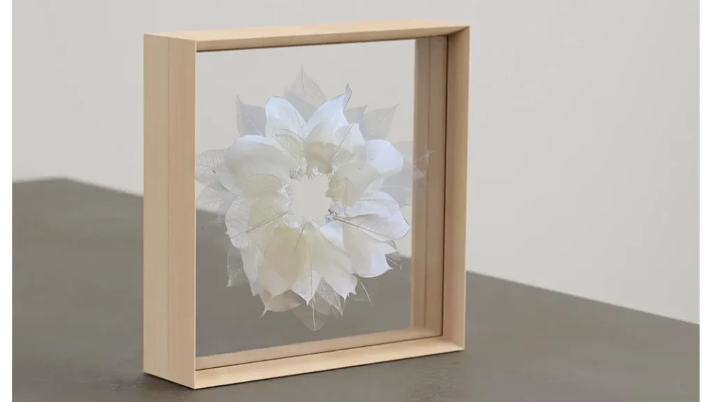 立体オブジェを飾るという新しい発想。季節の移ろいをアートに変える『Fufua フーファディスプレイフレーム』