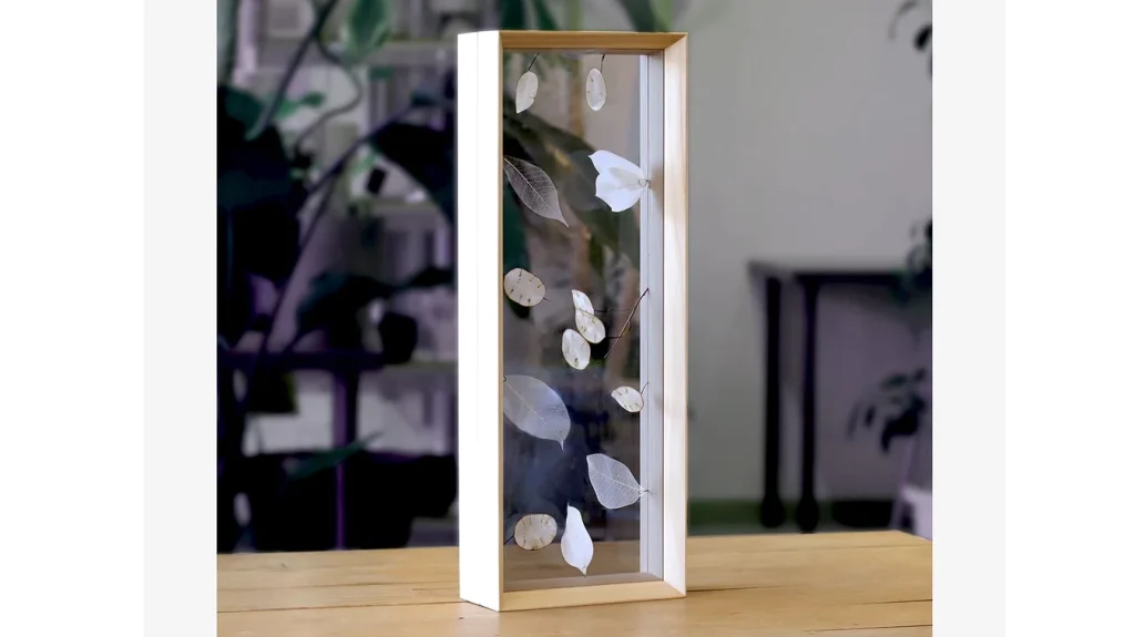 立体オブジェを飾るという新しい発想。季節の移ろいをアートに変える『Fufua フーファディスプレイフレーム』
