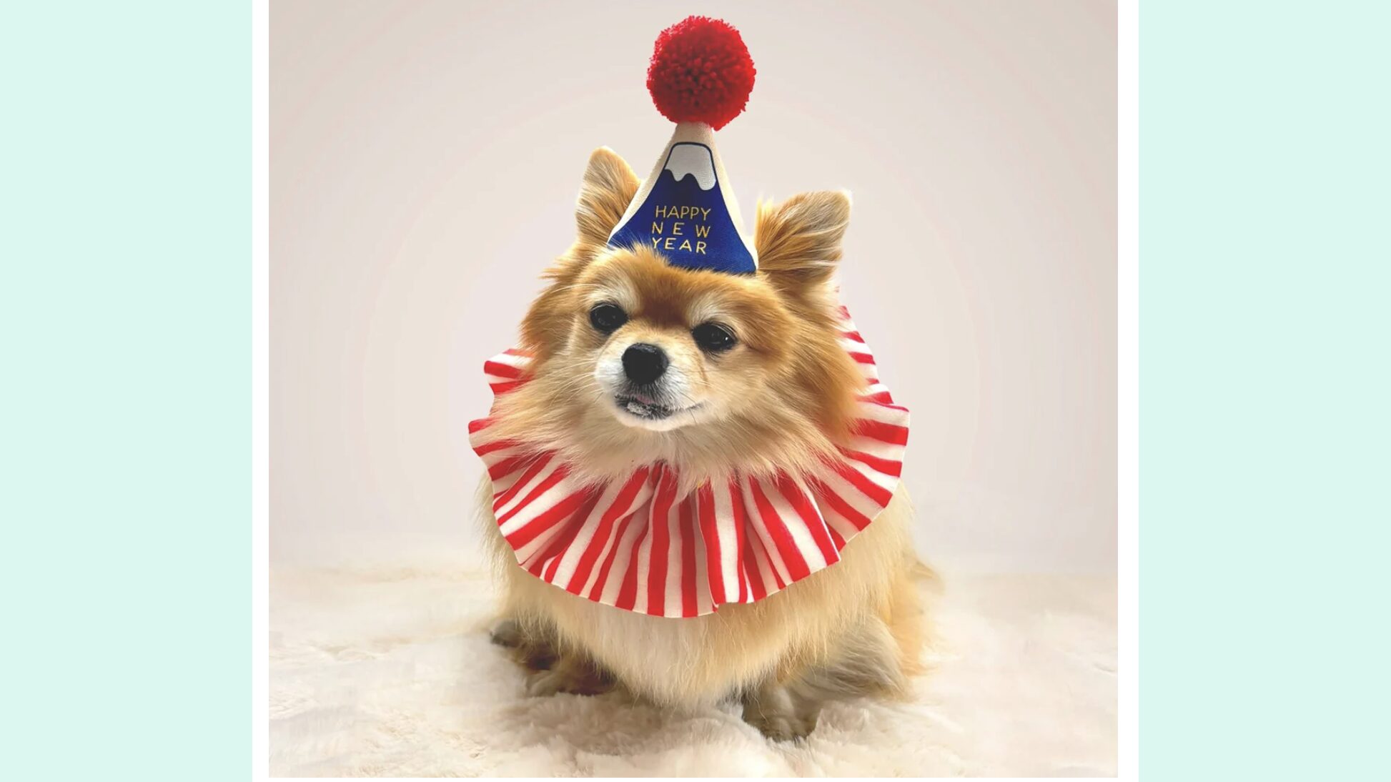 お正月の主役に！愛犬がもっと可愛くなる『ポンポンハット』｜家族みんなで楽しめる新年フォトアイテム
