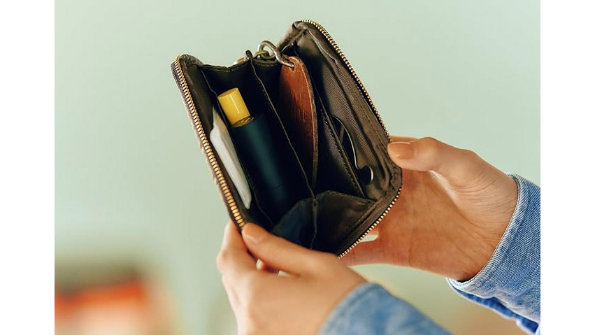 【2026年干支・午年】ほぼ日 ひきだしポーチ・ポケット「タイ&チーフ 駆ける馬」|整理上手な大人のための上質ミニポーチ