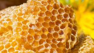 からだを想うやさしい甘さ｜百年はちみつのど飴＜ゆず味＞が選ばれる理由