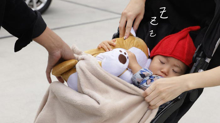 ブランケットが入った可愛いぬいぐるみ『ZOO ZOO NAP』