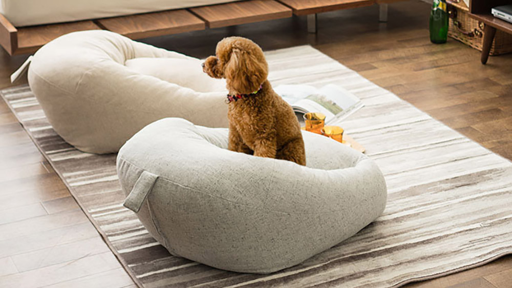 座る時間をもっと心地よく。あぐらに最適化された座椅子『マフィー』で叶える“くつろぎのフロアライフ”