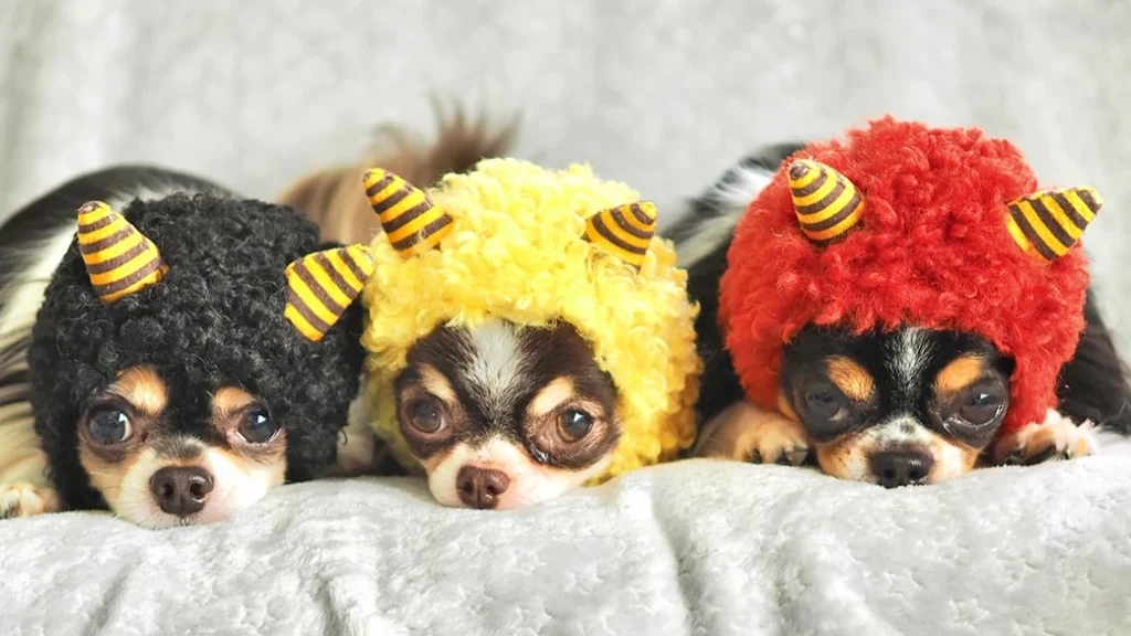 iDog 鬼さんスヌード|愛犬・愛猫が鬼に変身!節分や記念撮影にぴったり