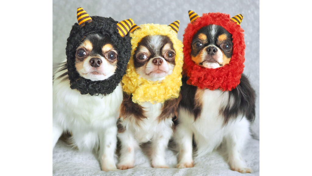 iDog 鬼さんスヌード|愛犬・愛猫が鬼に変身!節分や記念撮影にぴったり