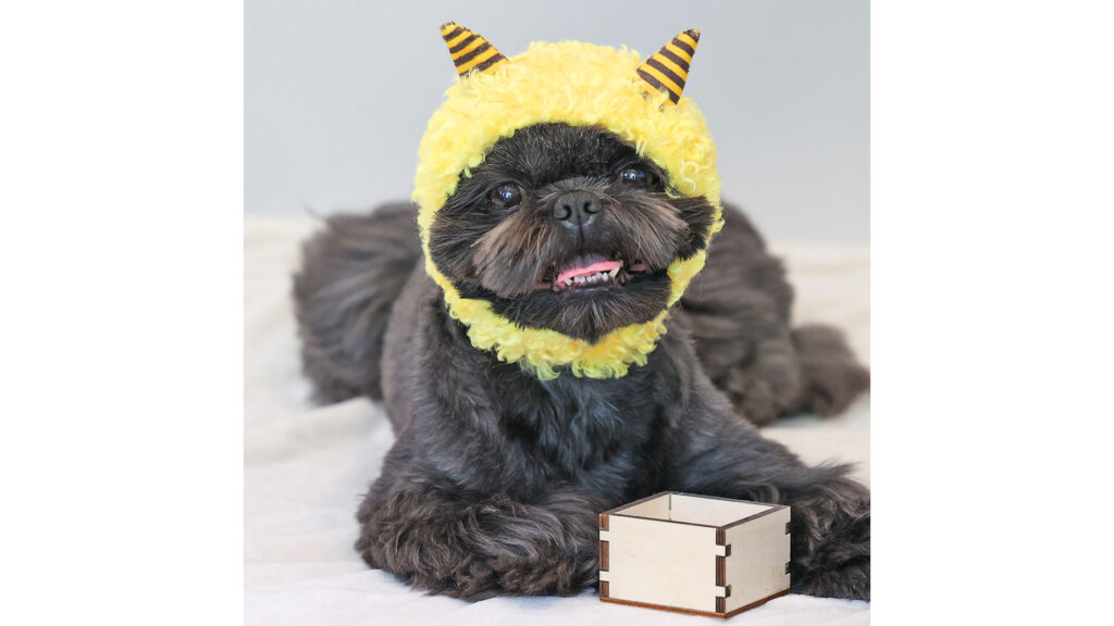 iDog 鬼さんスヌード|愛犬・愛猫が鬼に変身!節分や記念撮影にぴったり