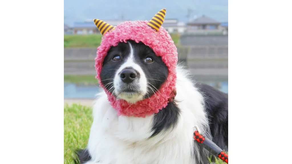 iDog 鬼さんスヌード|愛犬・愛猫が鬼に変身!節分や記念撮影にぴったり