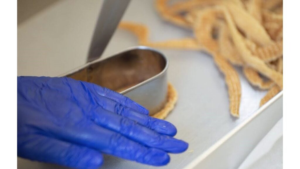 お土産にも人気！『バターのいとこ』羽田空港限定チョコキャラメル入りBOX