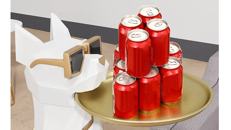 置くだけで整う!ティッシュ収納付きドッグトレーの魅力