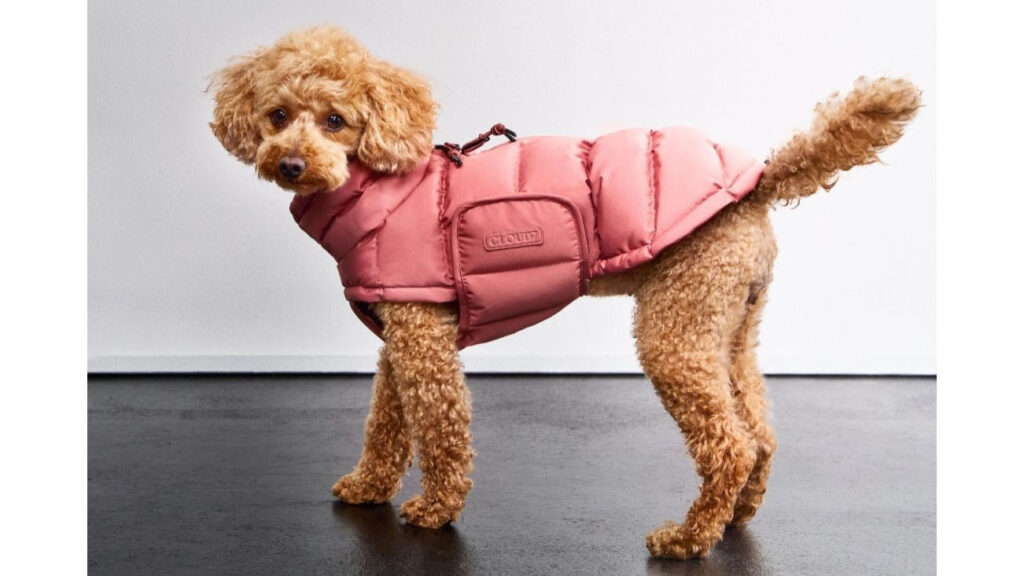 Cloud7 アラスカ 犬用防寒コート｜氷点下15℃対応の高機能ドッグウェア