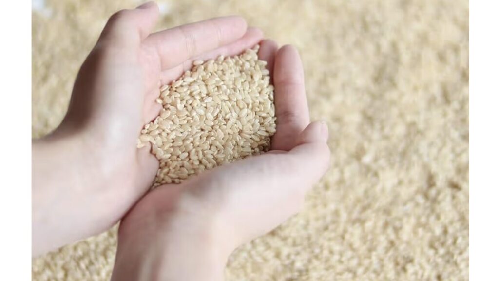 玄米の栄養を、毎日の一杯に。玄米甘酒飲み比べ2本セット