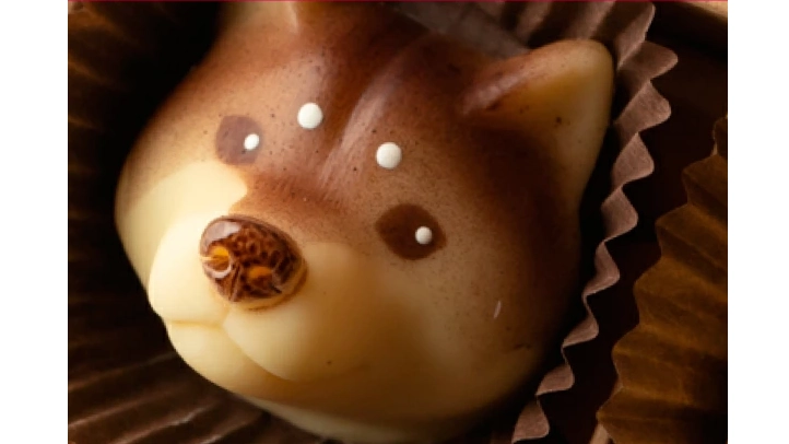 ＆chocolate「いぬチョコ 柴犬」｜かわいすぎる柴犬型ホワイトチョコはバレンタインにもおすすめ