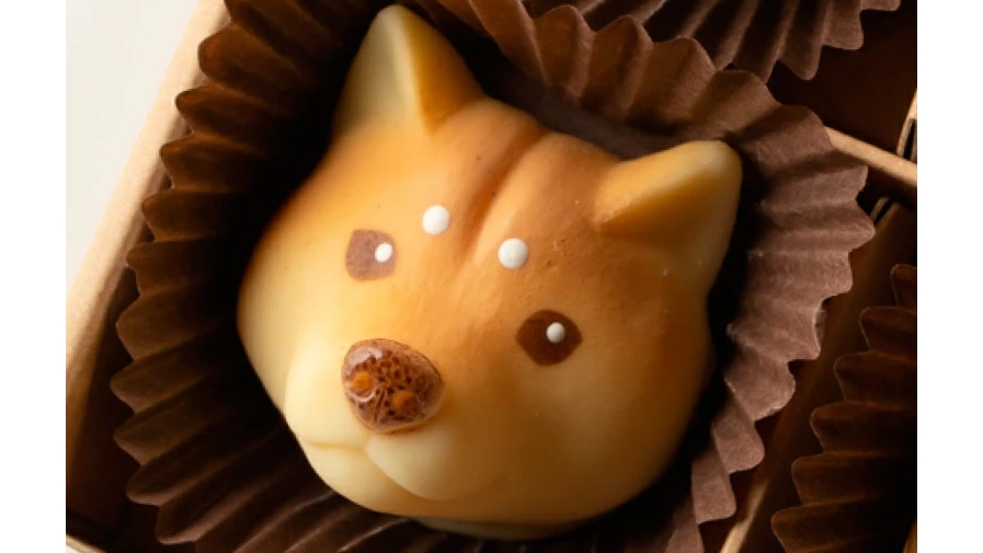 ＆chocolate「いぬチョコ 柴犬」｜かわいすぎる柴犬型ホワイトチョコはバレンタインにもおすすめ