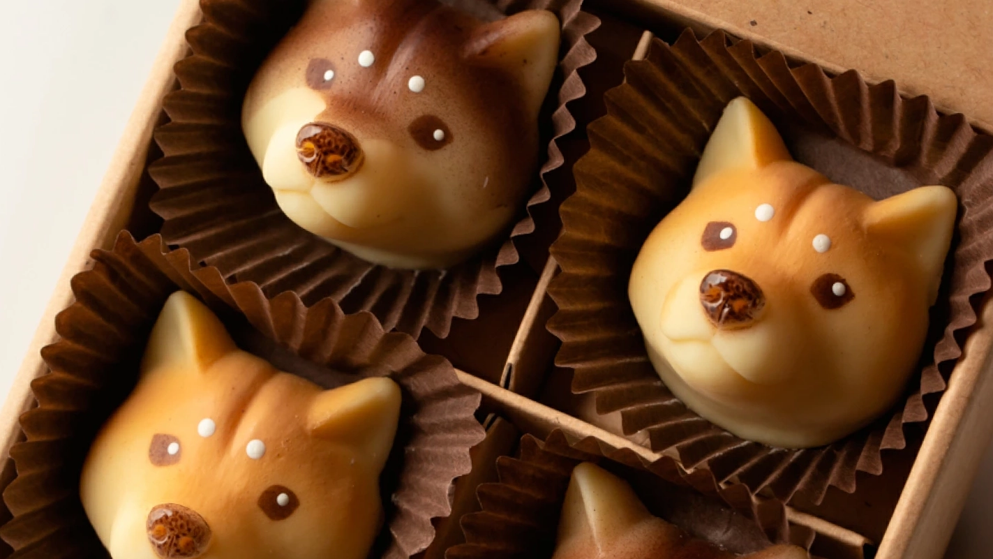 ＆chocolate「いぬチョコ 柴犬」｜かわいすぎる柴犬型ホワイトチョコはバレンタインにもおすすめ