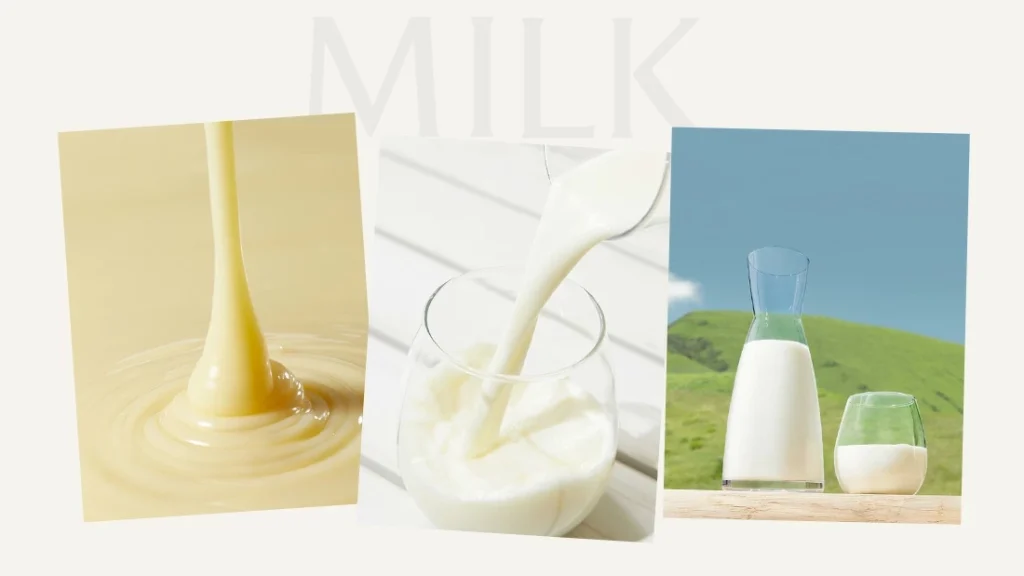 ブランシェショコラ｜至極のカレ・オ・ショコラ GIFT BOXの魅力