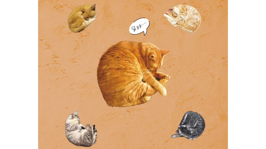 開けた瞬間が可愛い｜ねこにゃべ缶はギフトにぴったり