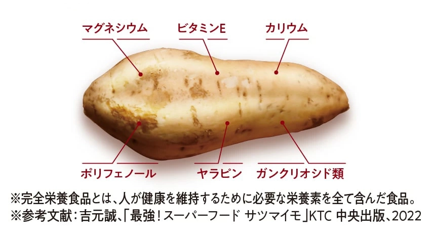 サクまいも｜臺霧島酒造&times;タマチャンショップの贅沢チョコ芋けんぴ