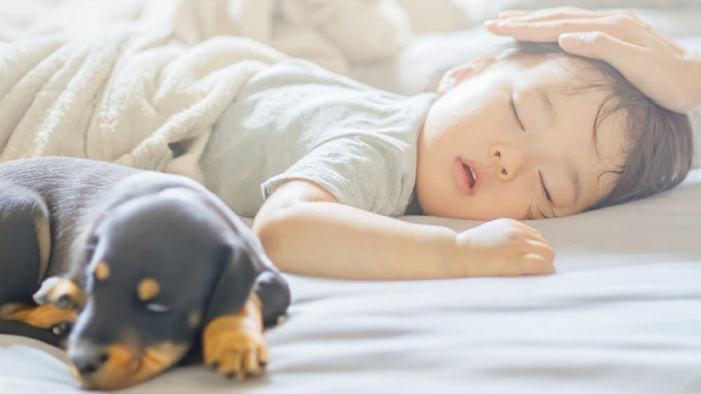 除菌機能がすごい！LAVINO エアリファイ ハイブリッド式加湿器｜清潔＆パワフル加湿