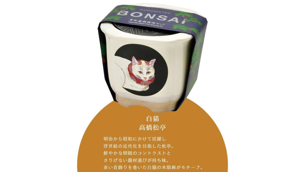 浮世絵デザイン盆栽キット｜美濃焼鉢で育てる黒松・赤松の栽培セット