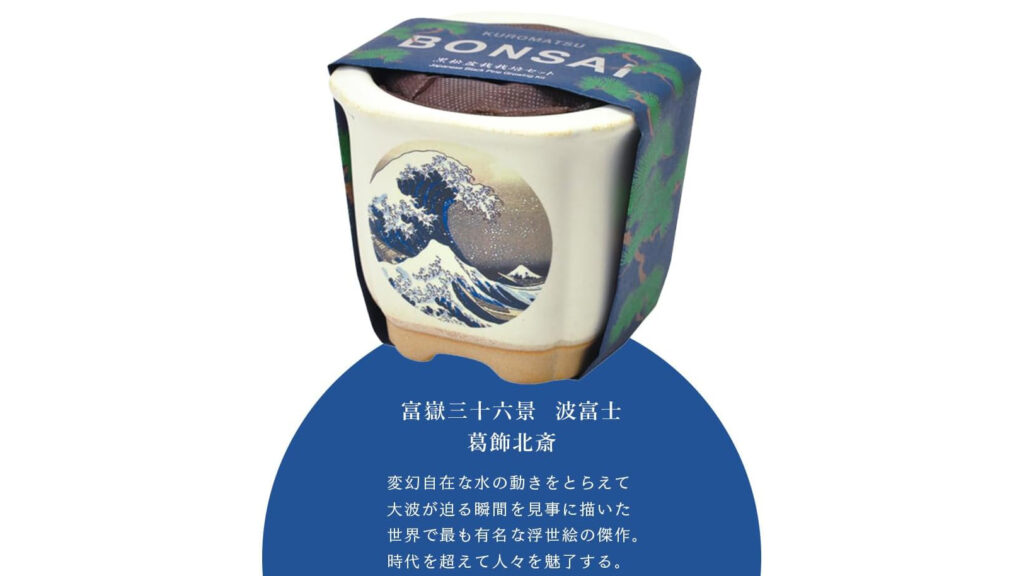 浮世絵デザイン盆栽キット｜美濃焼鉢で育てる黒松・赤松の栽培セット