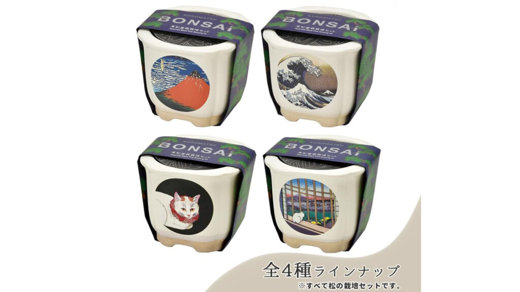 浮世絵デザイン盆栽キット｜美濃焼鉢で育てる黒松・赤松の栽培セット
