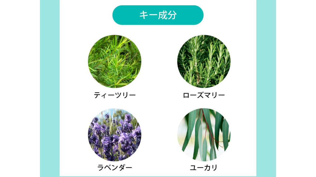 愛犬の静電気対策に｜A.P.D.C.グルーミングスプレーで毛玉・切れ毛予防