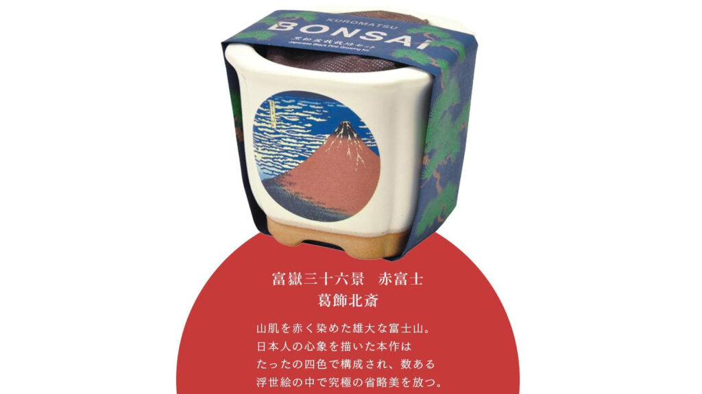 浮世絵デザイン盆栽キット｜美濃焼鉢で育てる黒松・赤松の栽培セット