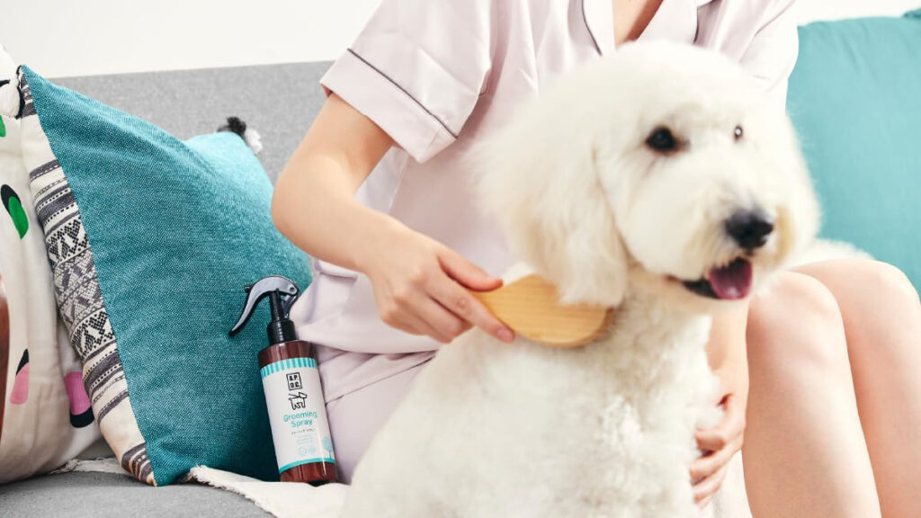 愛犬の静電気対策に｜A.P.D.C.グルーミングスプレーで毛玉・切れ毛予防