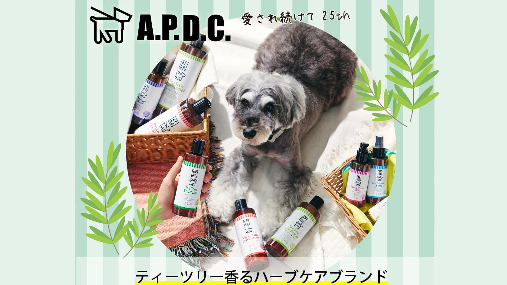 愛犬の静電気対策に｜A.P.D.C.グルーミングスプレーで毛玉・切れ毛予防