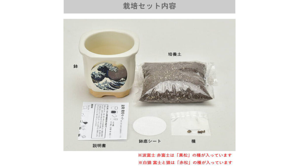 浮世絵デザイン盆栽キット｜美濃焼鉢で育てる黒松・赤松の栽培セット