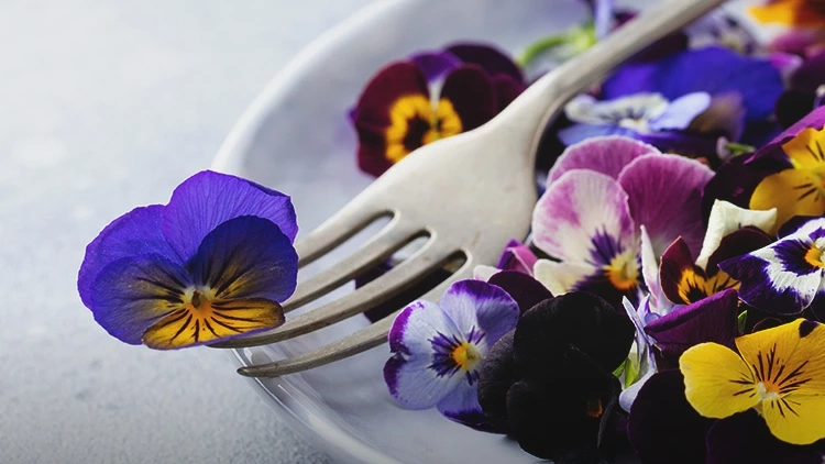 【エディブルフラワー ロリポップ】ホワイトデーや誕生日に花束みたいな可愛いバウムクーヘンギフト