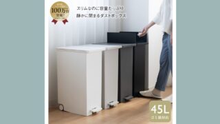 KEYUCA両開きダストボックスLL（42L）｜省スペースで静音設計の人気ゴミ箱
