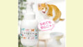 猫のお皿、実は細菌だらけ？獣医師監修の猫用食器洗剤「nekonimo」