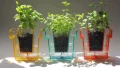 水やりのタイミングがひと目でわかる！透明プランター「Self Planter」